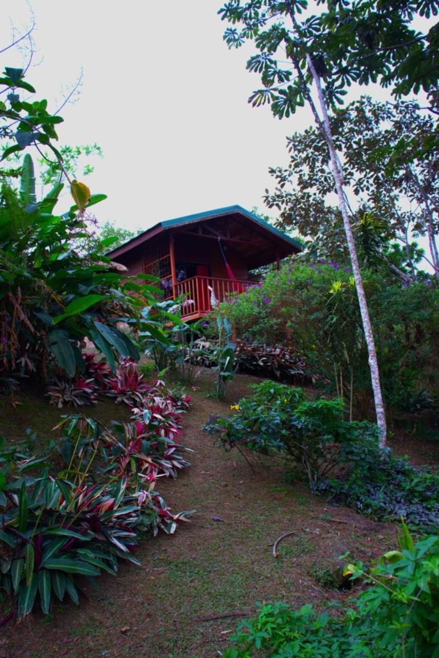 Eco Granja Don Lolo Villa Quesada  ภายนอก รูปภาพ