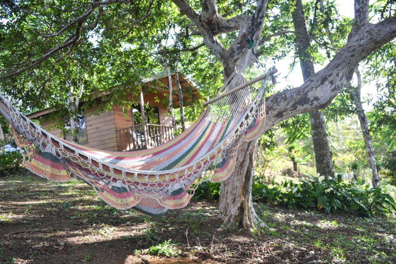 Eco Granja Don Lolo Villa Quesada  ภายนอก รูปภาพ