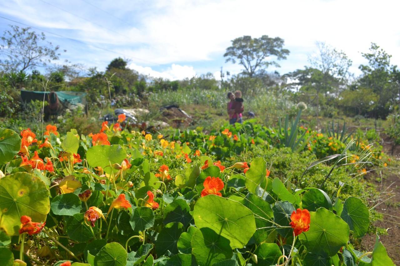 Eco Granja Don Lolo Villa Quesada  ภายนอก รูปภาพ