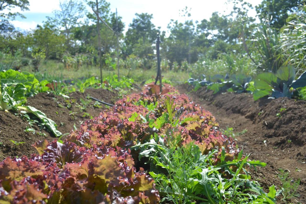 Eco Granja Don Lolo Villa Quesada  ภายนอก รูปภาพ