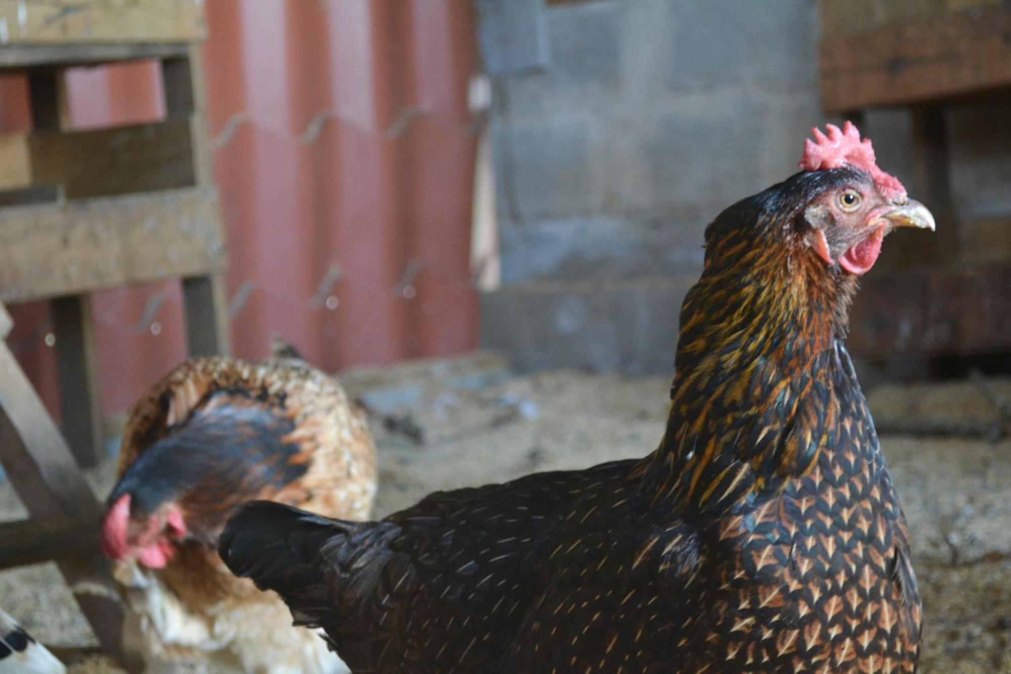 Eco Granja Don Lolo Villa Quesada  ภายนอก รูปภาพ