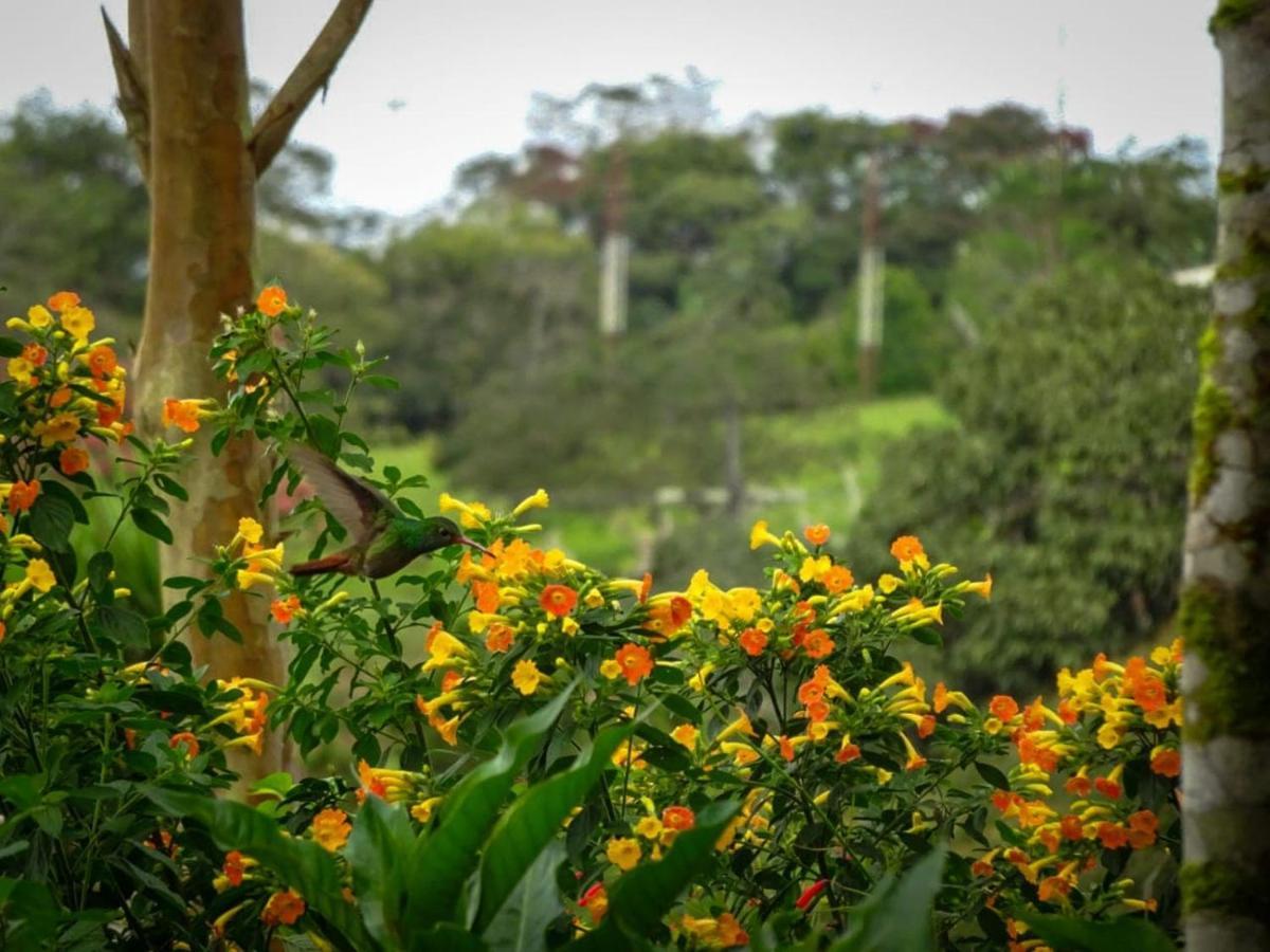 Eco Granja Don Lolo Villa Quesada  ภายนอก รูปภาพ
