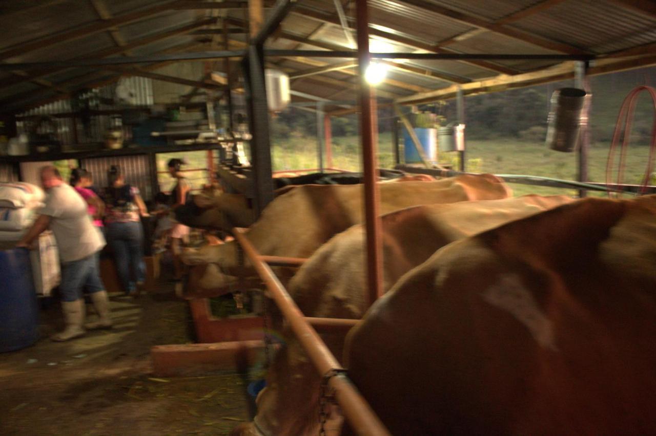 Eco Granja Don Lolo Villa Quesada  ภายนอก รูปภาพ